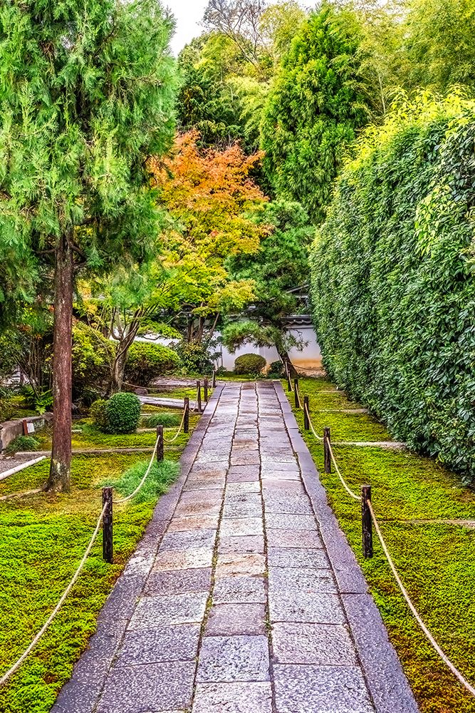 Colorful path, Tofuku-ji, Funda-In, Sesshu-ji Zen Buddhist Temple, Kyoto, Japan. art print by William Perry for $57.95 CAD