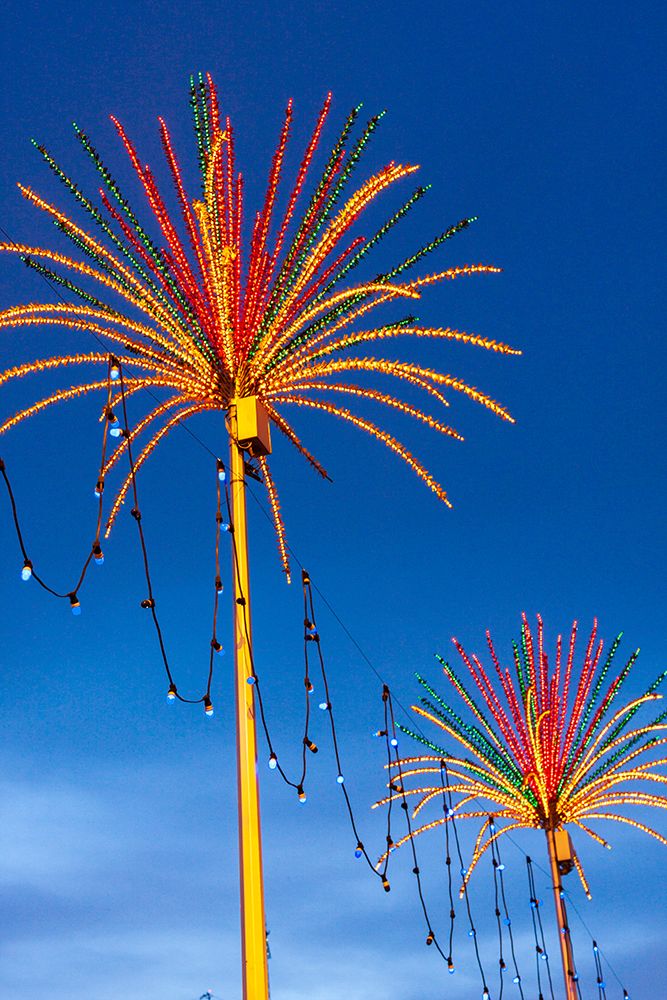 Kuala Lumpur- West Malaysia. Colorful lights looking like palm trees. art print by Tom Haseltine for $57.95 CAD
