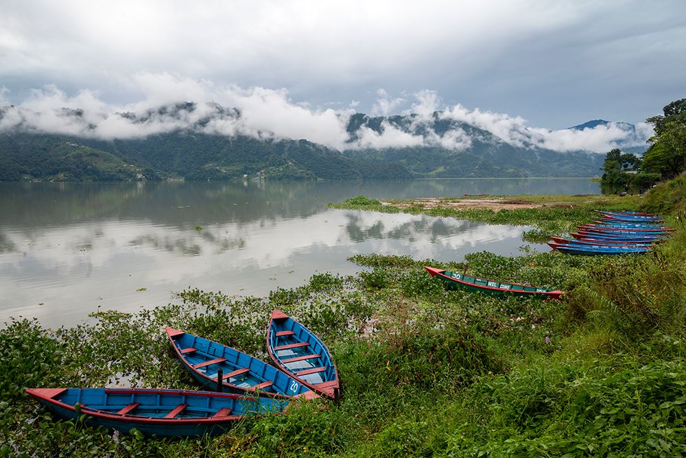 Asia-Nepal-Pokhara Boats in the water lilies on Phewa Lake art print by Janell Davidson for $57.95 CAD