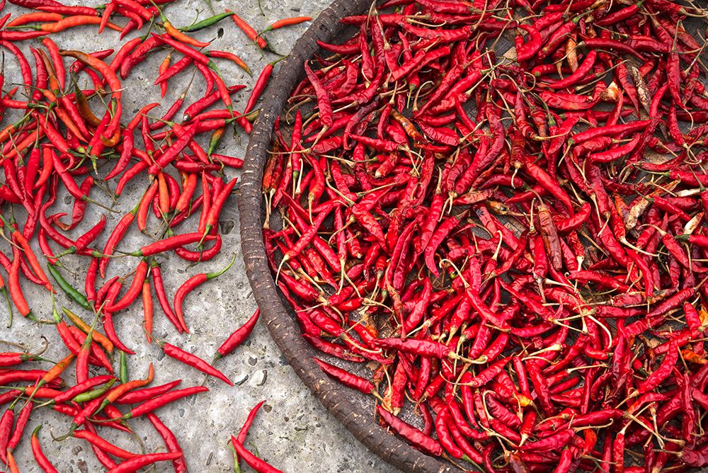 Nepal-drying peppers on the sidewalk art print by Janell Davidson for $57.95 CAD