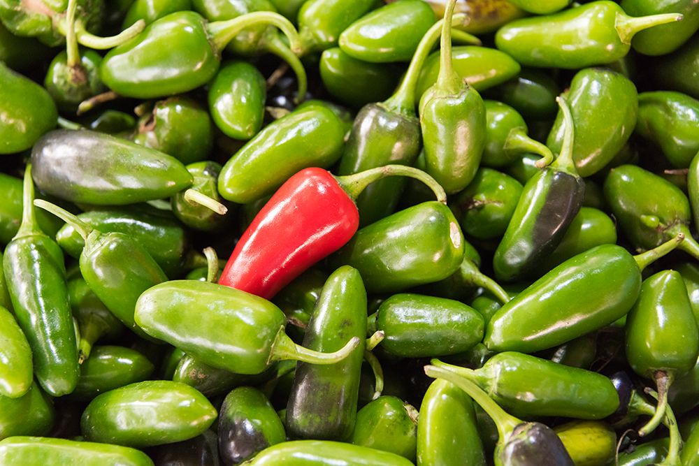 Selling peppers at the market-Kathmandu-Nepal art print by Keren Su for $57.95 CAD