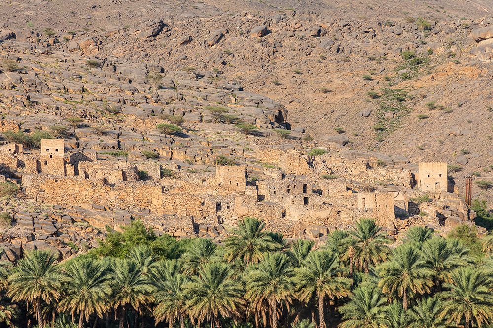 Middle East-Arabian Peninsula-Oman-Ad Dakhiliyah-Al Hamra-The ruins of an ancient village in Oman art print by Emily Wilson for $57.95 CAD