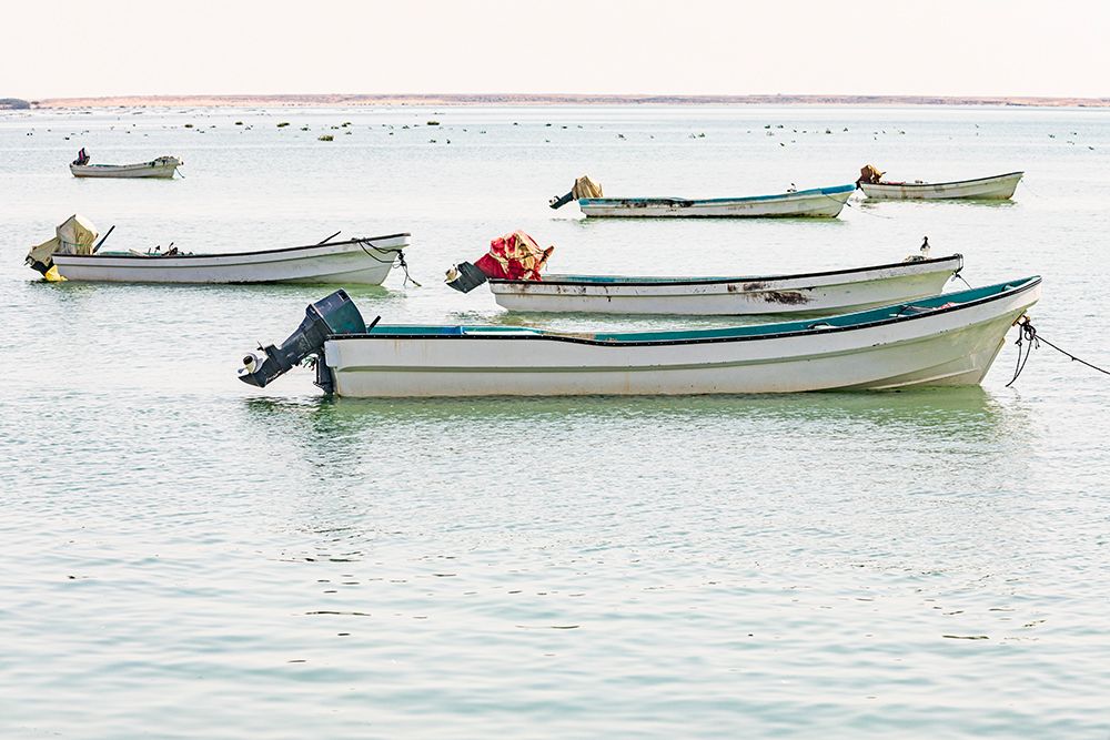 Middle East-Arabian Peninsula-Al Wusta-Mahout-Fishing boats on the Arabian Sea in Oman art print by Emily Wilson for $57.95 CAD