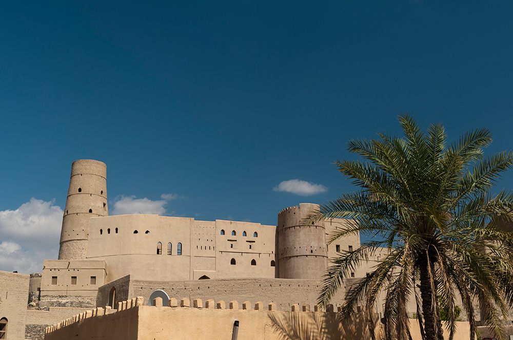The Bahla fort-built in 13th century-and a palm tree Bahla-Oman art print by Sergio Pitamitz for $57.95 CAD