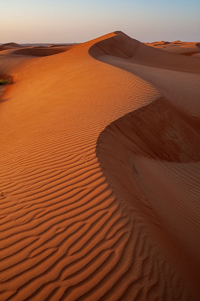 Rippled dunes in the Wahiba Sands at sunset Wahiba Sands-Arabian Peninsula-Oman art print by Sergio Pitamitz for $57.95 CAD