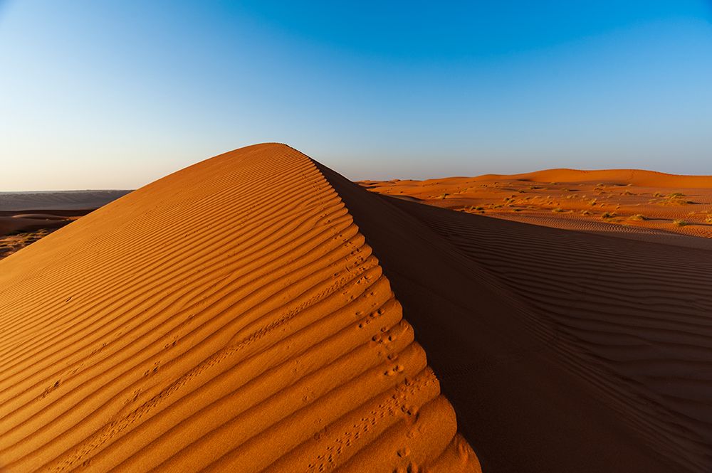 Footprints along the ridge of a sand dune at sunset Wahiba Sands-Arabian Peninsula-Oman art print by Sergio Pitamitz for $57.95 CAD