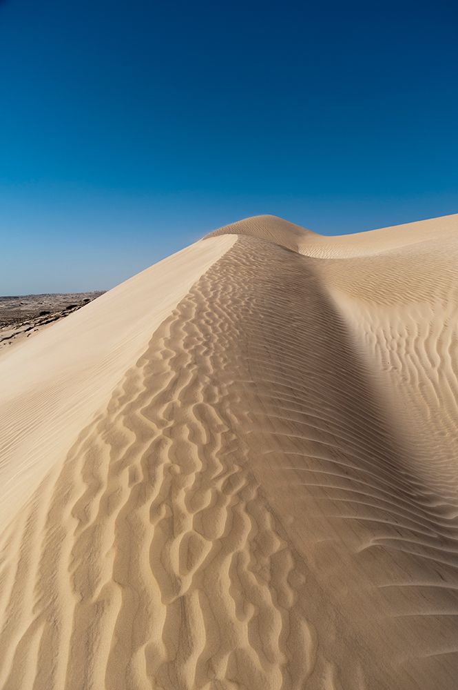 The white sand dunes of the Khaluf desert Khaluf Desert-Arabian Peninsula-Oman art print by Sergio Pitamitz for $57.95 CAD