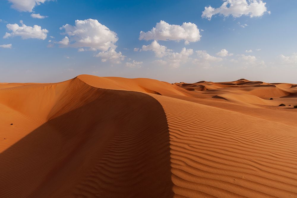 A desert landscape of wind sculpted and rippled sand dunes Wahiba Sands-Oman art print by Sergio Pitamitz for $57.95 CAD