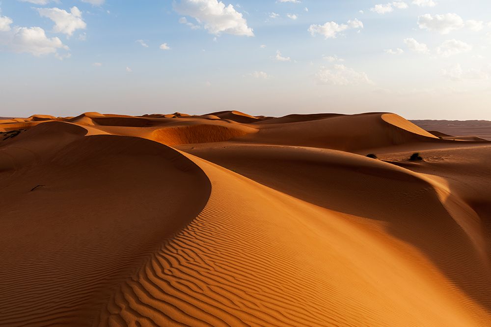 A desert landscape of wind sculpted and rippled sand dunes Wahiba Sands-Oman art print by Sergio Pitamitz for $57.95 CAD