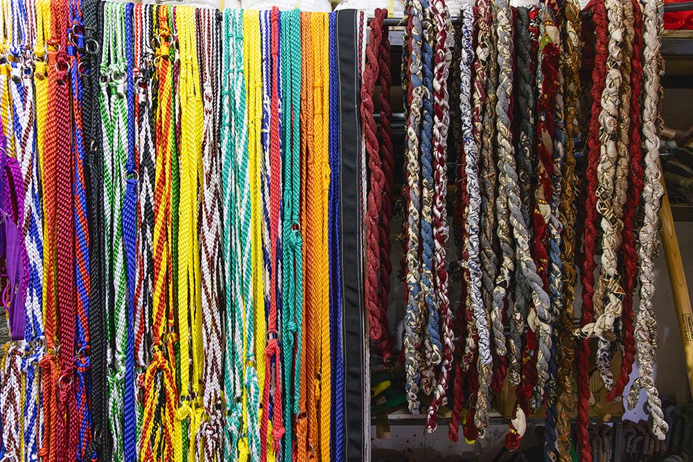 Saudi Arabia, Tabuk. Bridle ropes for sale at the market. art print by Emily M. Wilson for $57.95 CAD