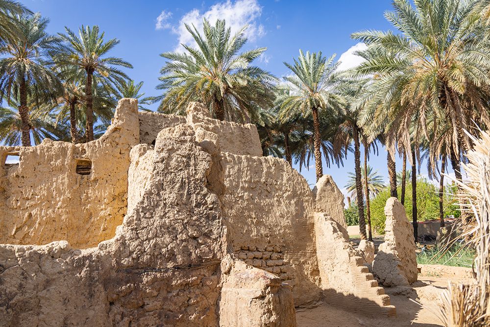 Saudi Arabia, Tabuk Province, Tayma. Date palms at a desert oasis. art print by Emily M. Wilson for $57.95 CAD
