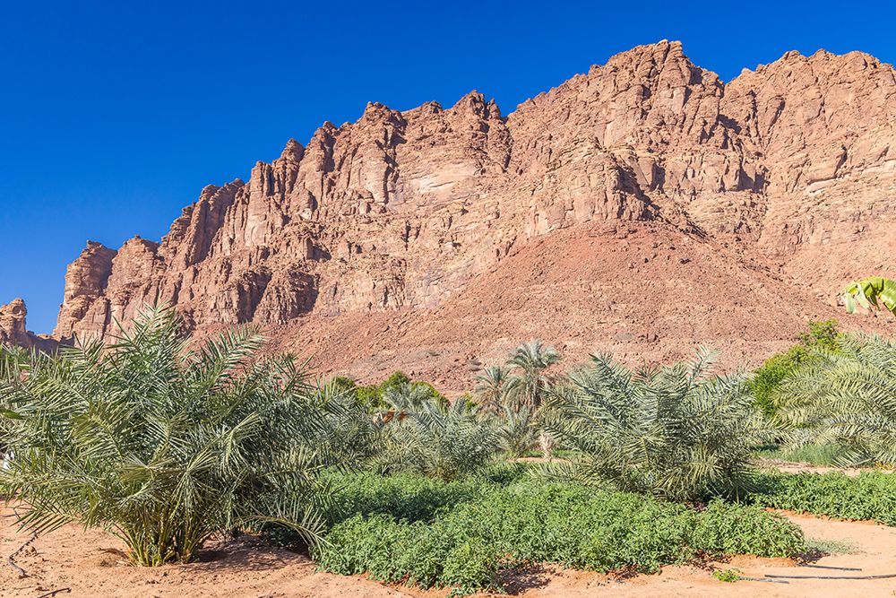 Saudi Arabia, Tabuk, Al-Disah. A desert farm. art print by Emily M. Wilson for $57.95 CAD