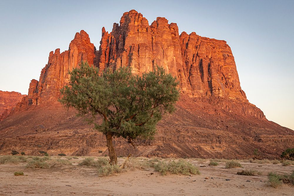 Saudi Arabia, Tabuk, Al-Disah. Desert Prince Mohammed bin Salman Natural Reserve. art print by Emily M. Wilson for $57.95 CAD