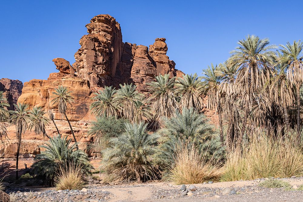 Saudi Arabia, Tabuk, Prince Mohammed bin Salman Natural Reserve. Wadi Al Disah. art print by Emily M. Wilson for $57.95 CAD