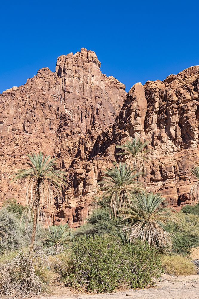 Saudi Arabia, Tabuk, Prince Mohammed bin Salman Natural Reserve. Wadi Al Disah. art print by Emily M. Wilson for $57.95 CAD