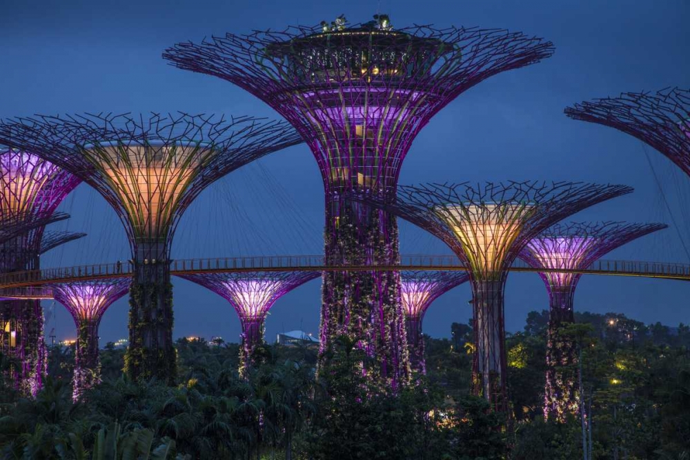 Singapore Garden by the Sea towers at night art print by Jim Zuckerman for $57.95 CAD