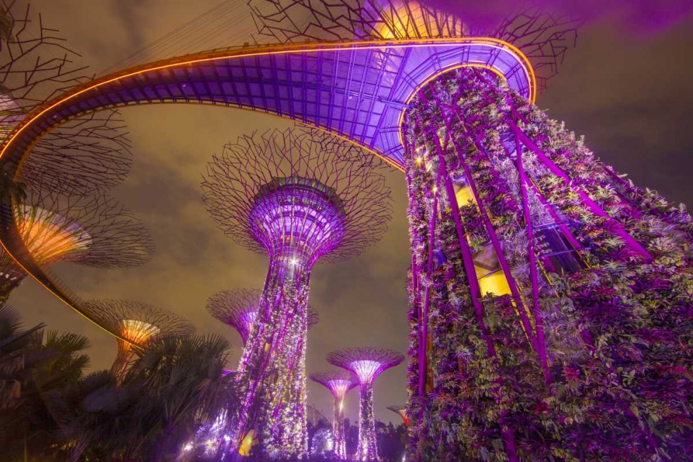 Singapore Garden by the Sea towers at night art print by Jim Zuckerman for $57.95 CAD