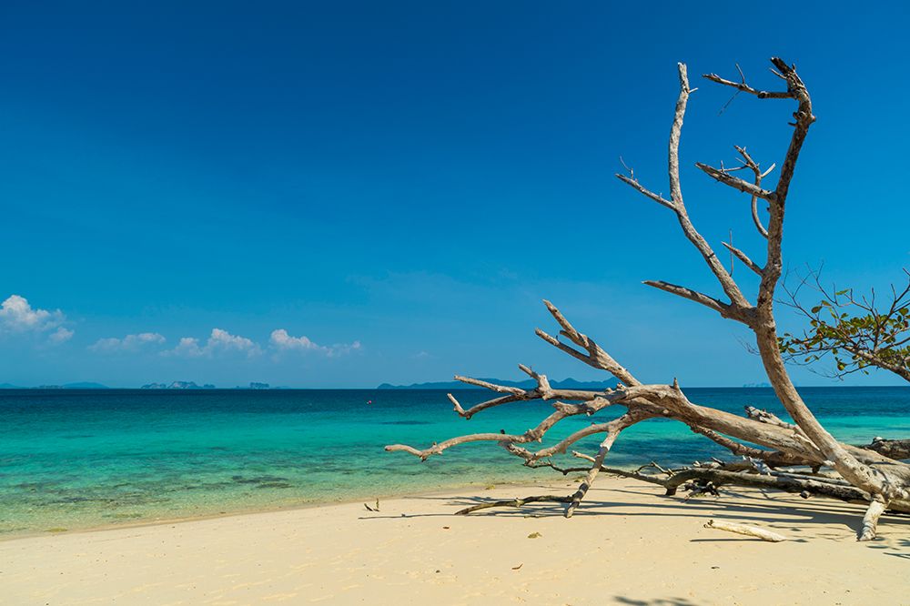 Ko Kradan-Talay Trang archipelago-Thailand art print by Sergio Pitamitz for $57.95 CAD