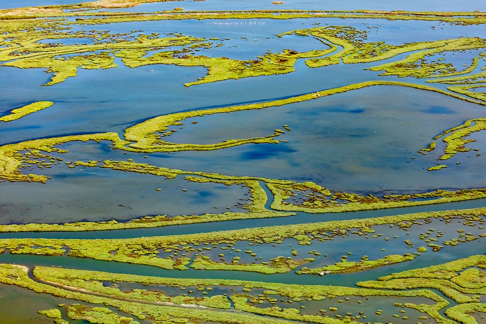 Wetland on the Aegean coast-Turkey art print by Ali Kabas for $57.95 CAD