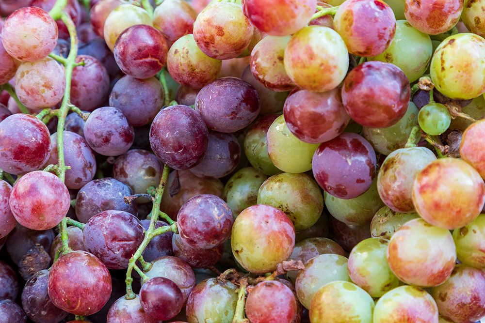 Grapes close-up. art print by Emily M. Wilson for $57.95 CAD