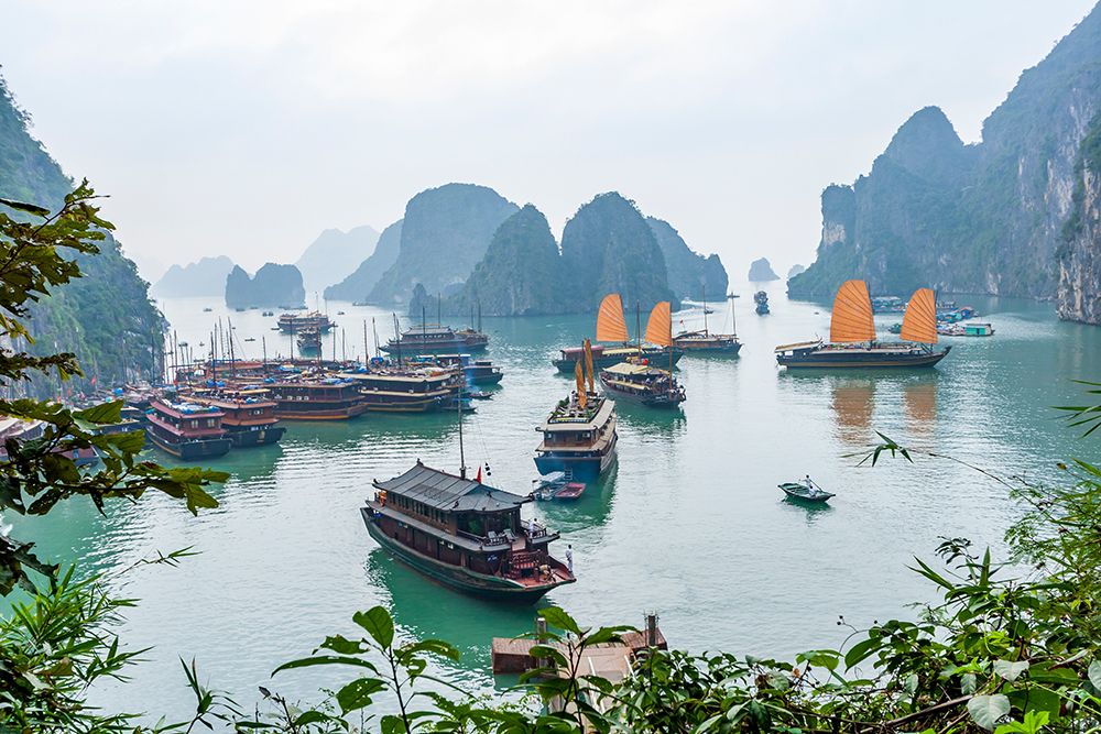 Bay-Vietnam-UNESCO World Heritage Site-Junks in the bay art print by Tom Haseltine for $57.95 CAD