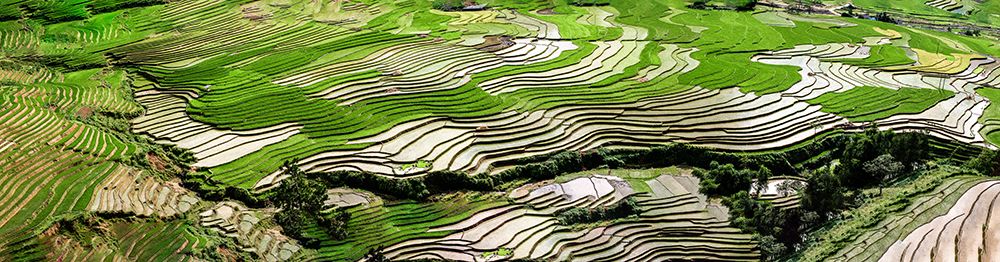 Vietnam art print by Tom Norring for $57.95 CAD