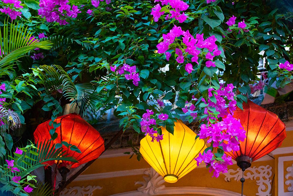 Vietnam-Hoi An silk lamps decorating throughout the city art print by Tom Norring for $57.95 CAD