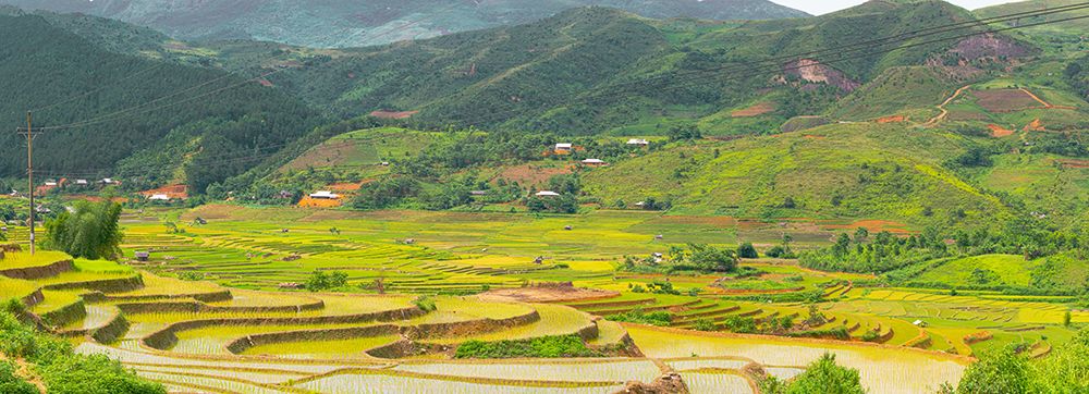 Vietnam -Rice paddies in the highlands of Sapa art print by Tom Norring for $57.95 CAD