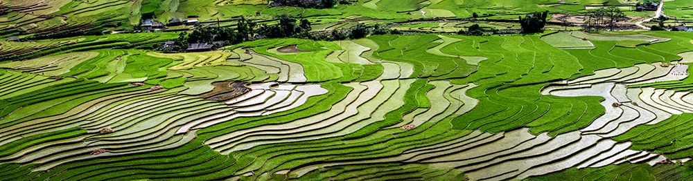 Vietnam -Rice paddies in the highlands of Sapa art print by Tom Norring for $57.95 CAD
