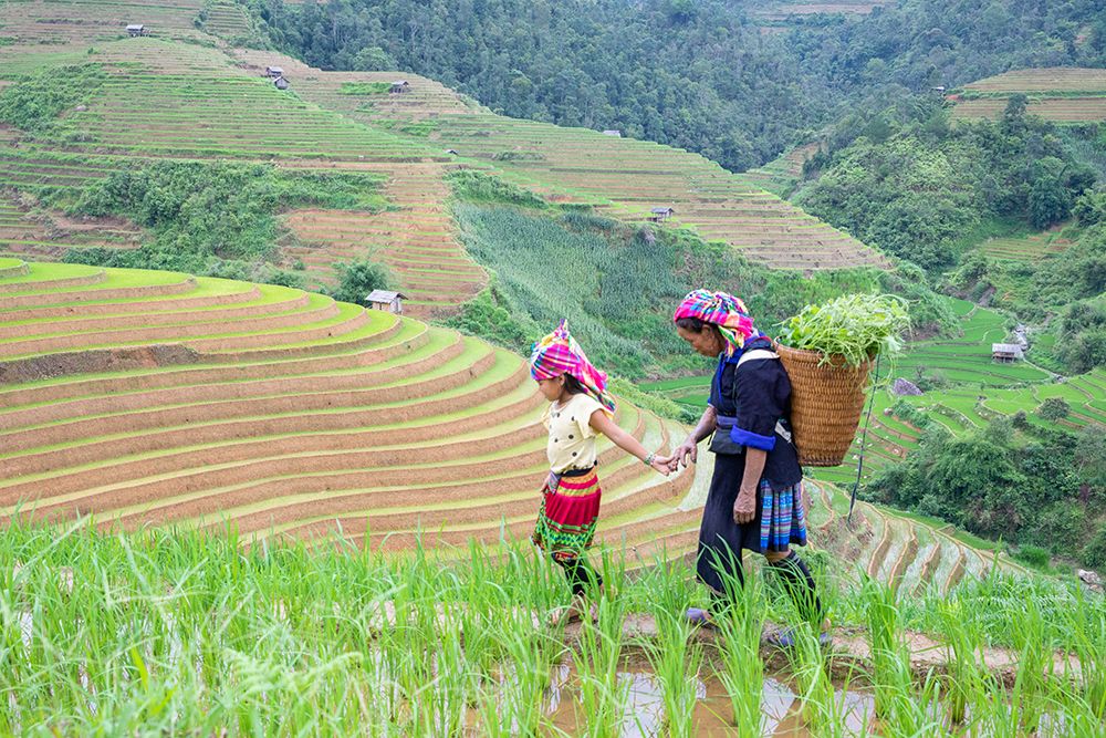 Vietnam-Grandma taking care of granddaughter-Farming community with traditional Sapa dresses art print by Tom Norring for $57.95 CAD