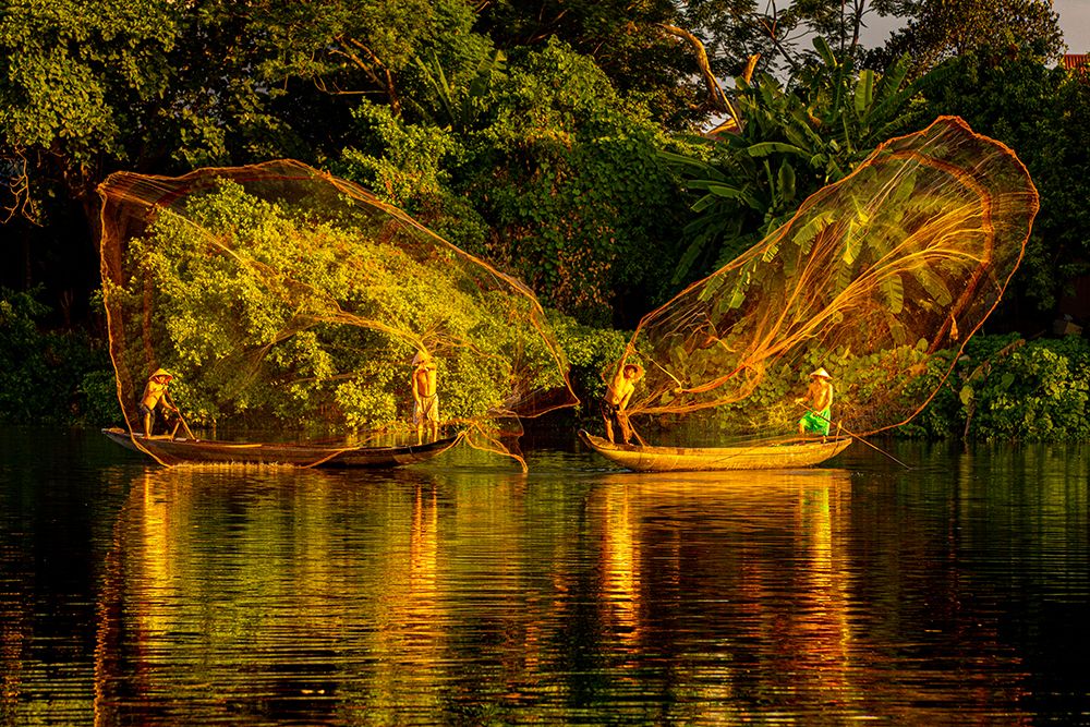 Vietnam-Butterfly net fishing-Fishermen working in complete synchronization art print by Tom Norring for $57.95 CAD
