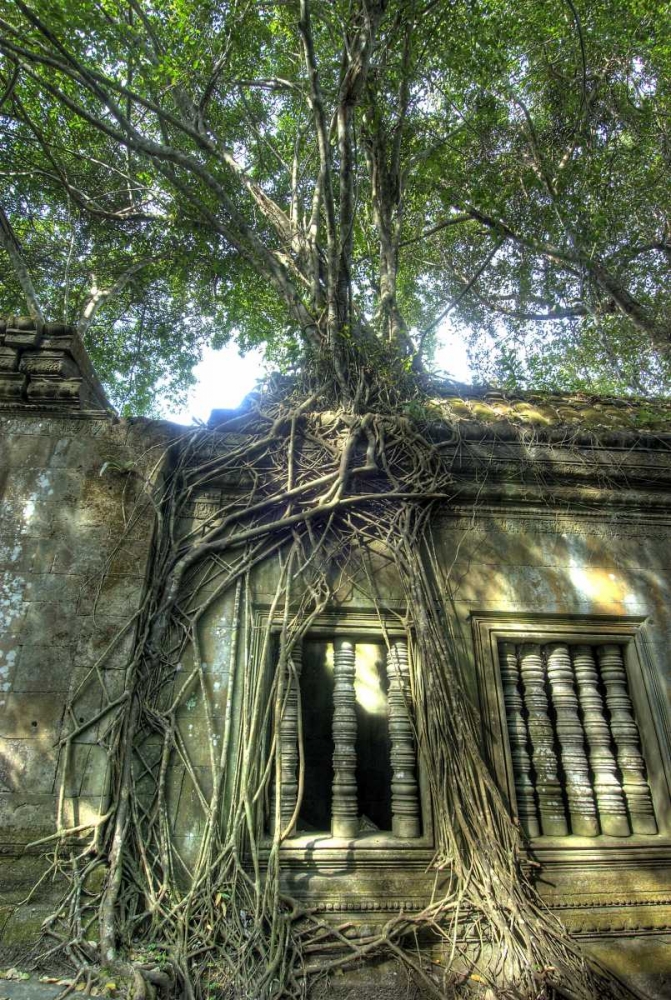 Cambodia, Angkor Wat Ruins of Beng Melea Temple art print by Jones Shimlock for $57.95 CAD