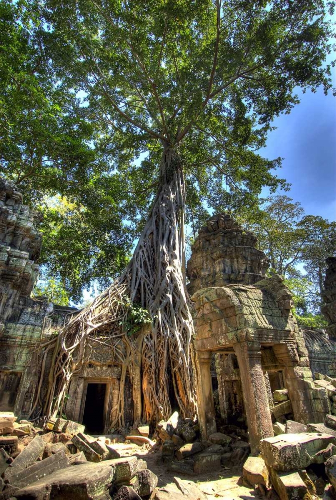 Cambodia, Angkor Wat Ruins of Beng Melea Temple art print by Jones Shimlock for $57.95 CAD