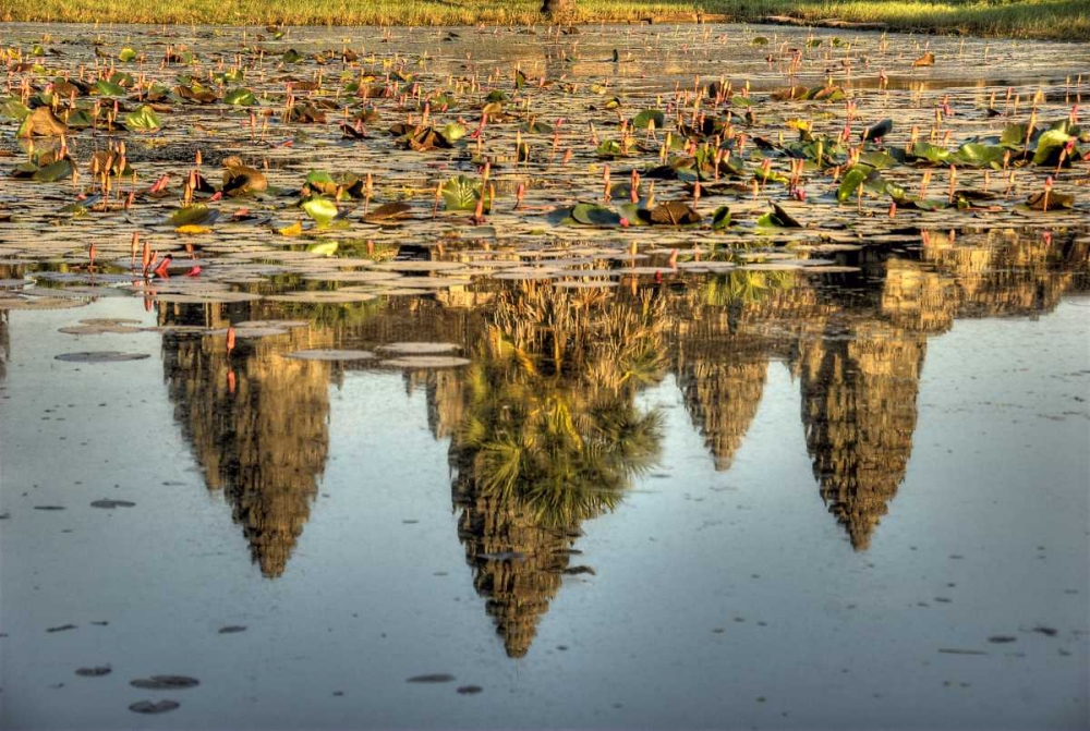 Cambodia, Angkor Wat Reflection of temple ruins art print by Jones Shimlock for $57.95 CAD