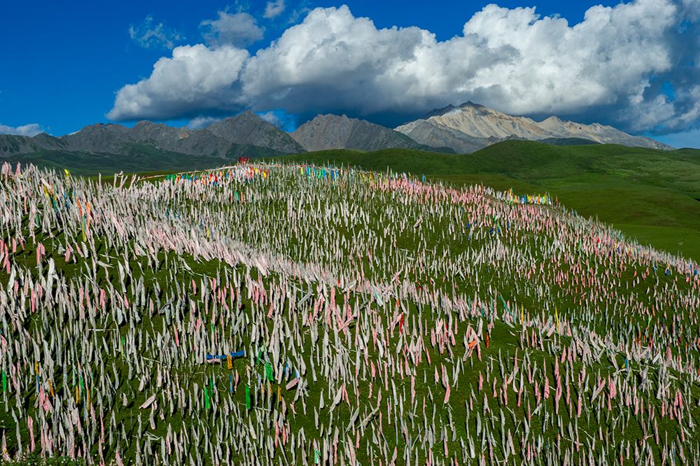 Tibet, Kham, Litang. Tibetan nomads near Litang. Hill covered in prayer flags. art print by Alison Wright for $57.95 CAD