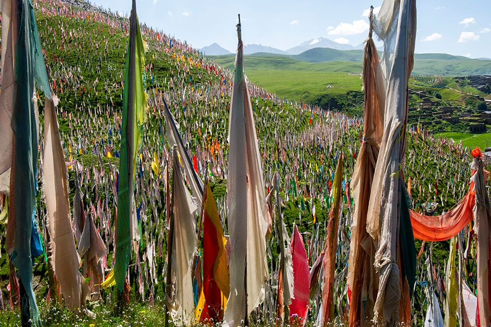Tibet, Kham, Tagong. Prayer flags on hill. art print by Alison Wright for $57.95 CAD