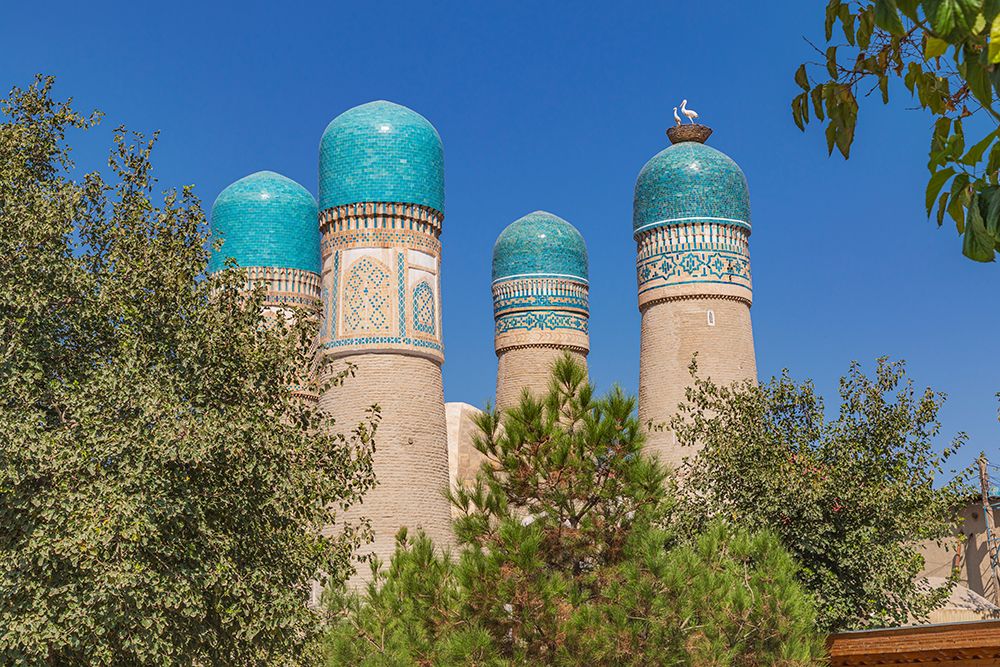 Bukhara, Uzbekistan, Central Asia. The Chor Minor Madrasa in Bukhara. art print by Emily M. Wilson for $57.95 CAD