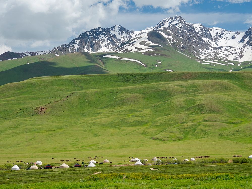 Summer pasture with traditional Yurts The Suusamyr plain-a high valley art print by Martin Zwick for $57.95 CAD