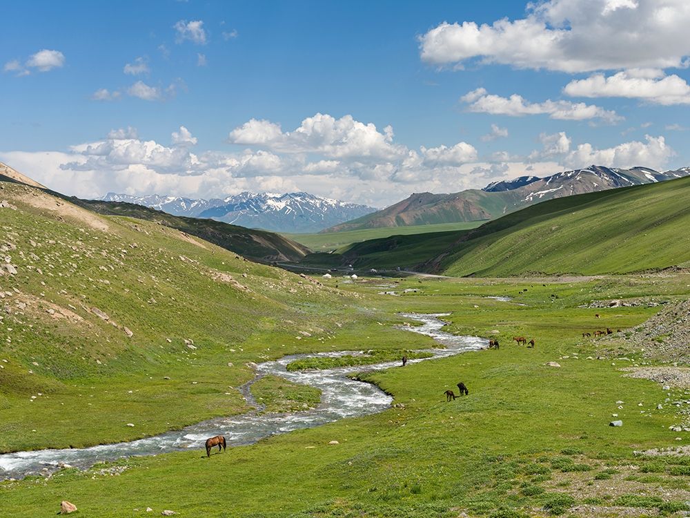 Horses on summer pasture The Suusamyr plain-a high valley in Tien Shan Mountains-Kyrgyzstan art print by Martin Zwick for $57.95 CAD