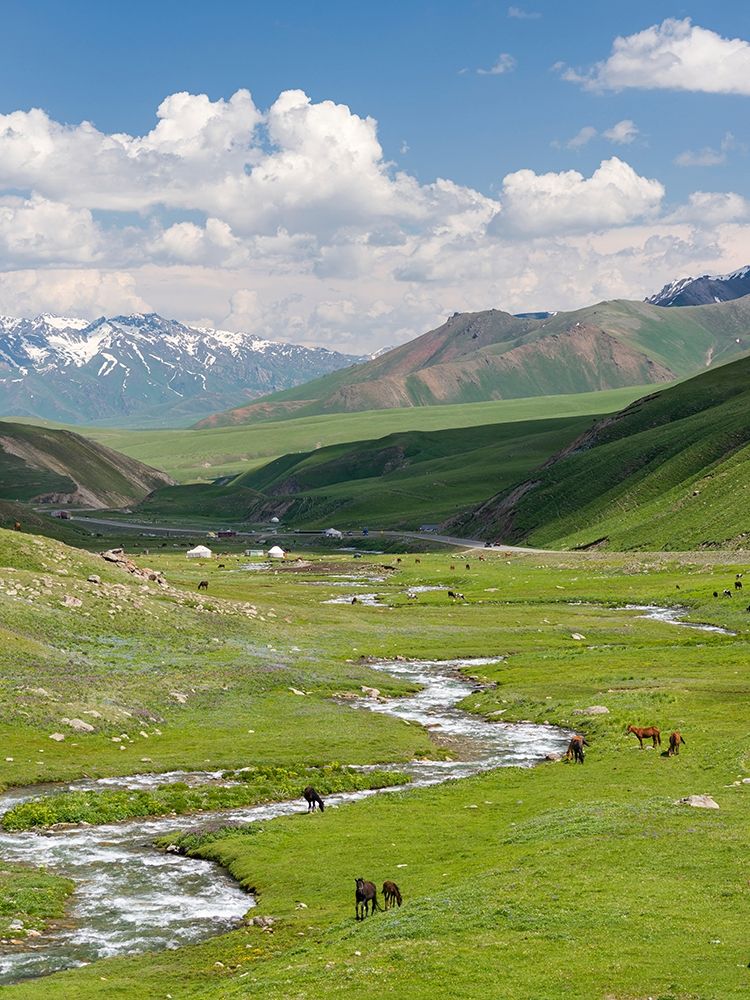 Horses on summer pasture The Suusamyr plain-a high valley in Tien Shan Mountains-Kyrgyzstan art print by Martin Zwick for $57.95 CAD
