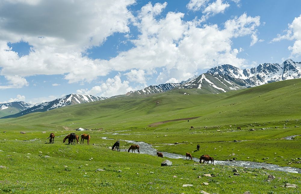 Horses on summer pasture The Suusamyr plain-a high valley in Tien Shan Mountains-Kyrgyzstan art print by Martin Zwick for $57.95 CAD