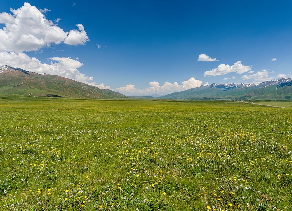 The Suusamyr plain-a high valley in Tien Shan Mountains-Kyrgyzstan art print by Martin Zwick for $57.95 CAD