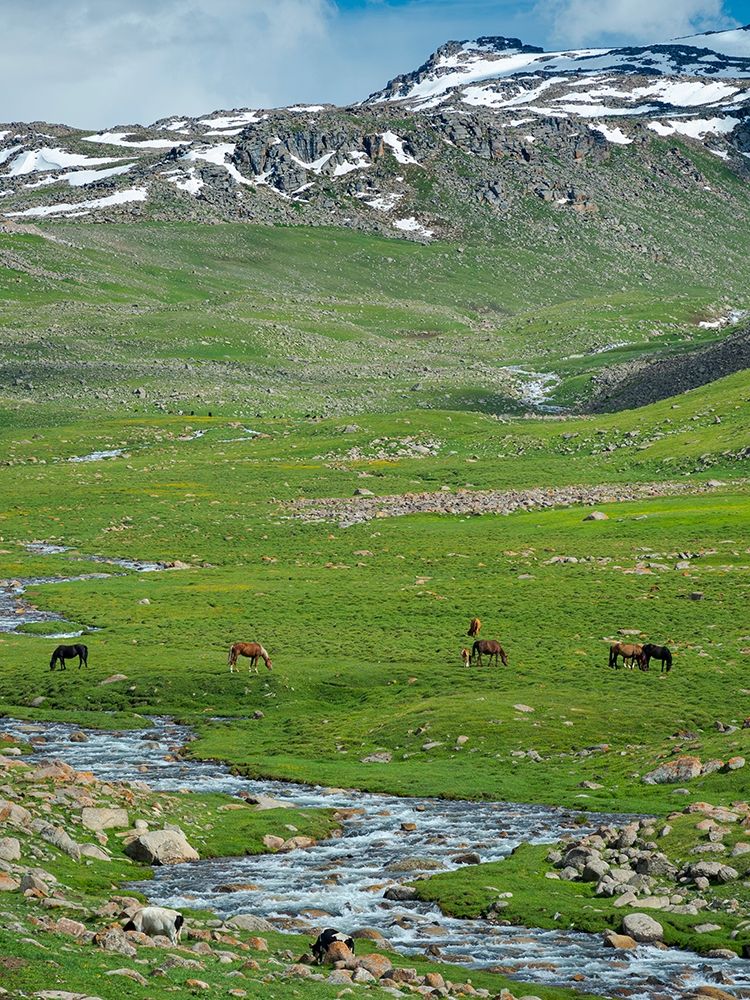 Landscape at the Otmok mountain pass in the Tien Shan or heavenly mountains-Kyrgyzstan art print by Martin Zwick for $57.95 CAD
