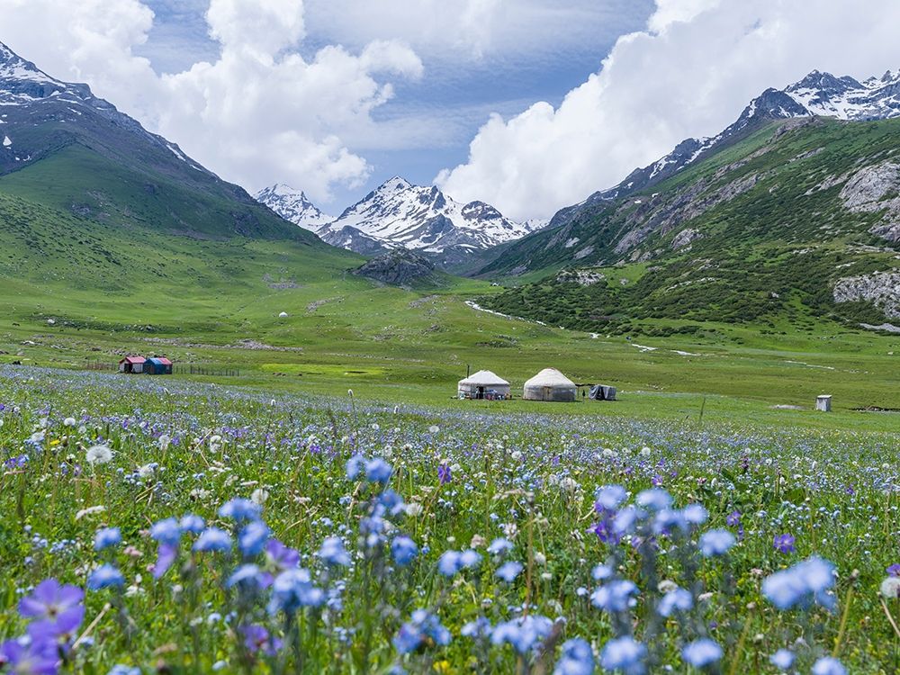 Yurts on the high altitude summer pastures National Park Besch Tasch art print by Martin Zwick for $57.95 CAD