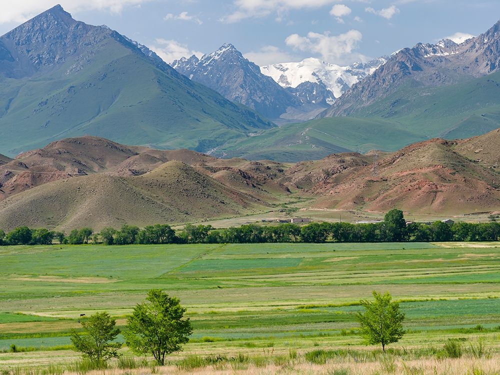 Agriculture near lake Issyk-Kul art print by Martin Zwick for $57.95 CAD