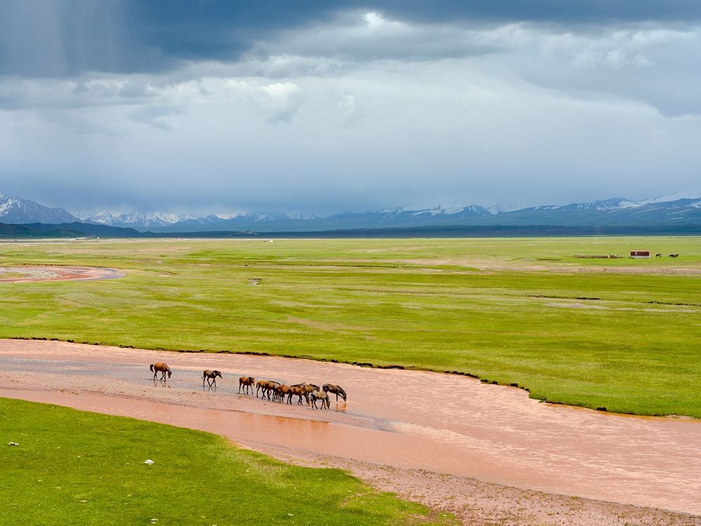 Horses in the Alay Valley and the Trans-Alay Range in the Pamir Mountains art print by Martin Zwick for $57.95 CAD