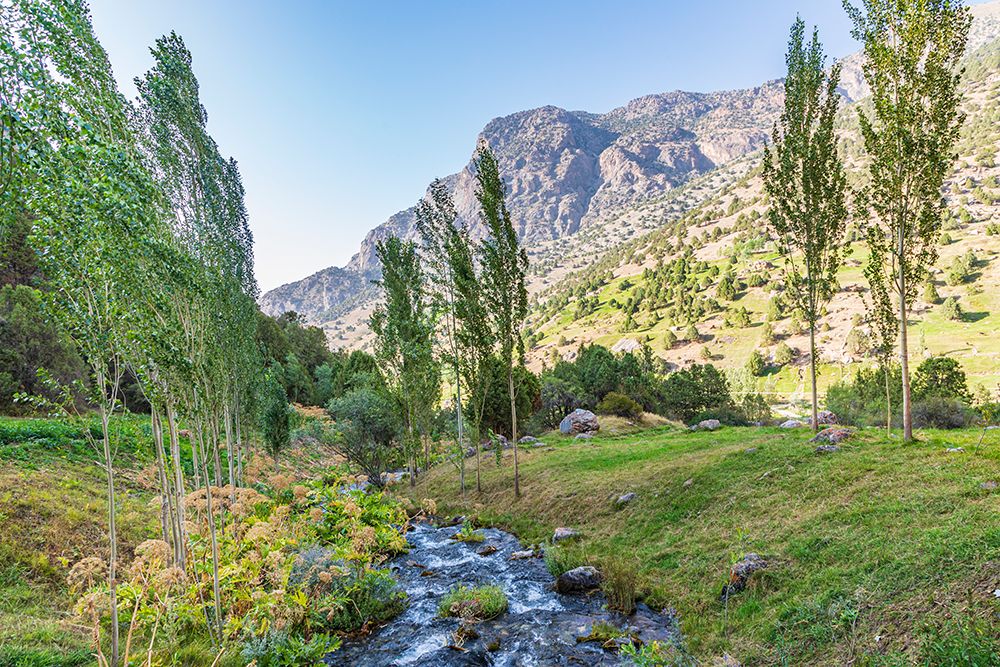 Artuch-Sughd Province-Tajikistan A small creek in the mountains of Tajikistan art print by Emily Wilson for $57.95 CAD