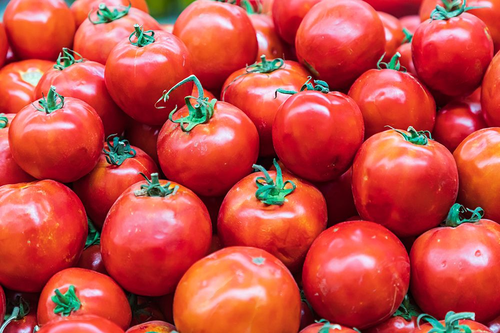 Khujand-Sughd Province-Tajikistan Fresh tomatoes for sale at the Panjshanbe Bazaar in Khujand art print by Emily Wilson for $57.95 CAD