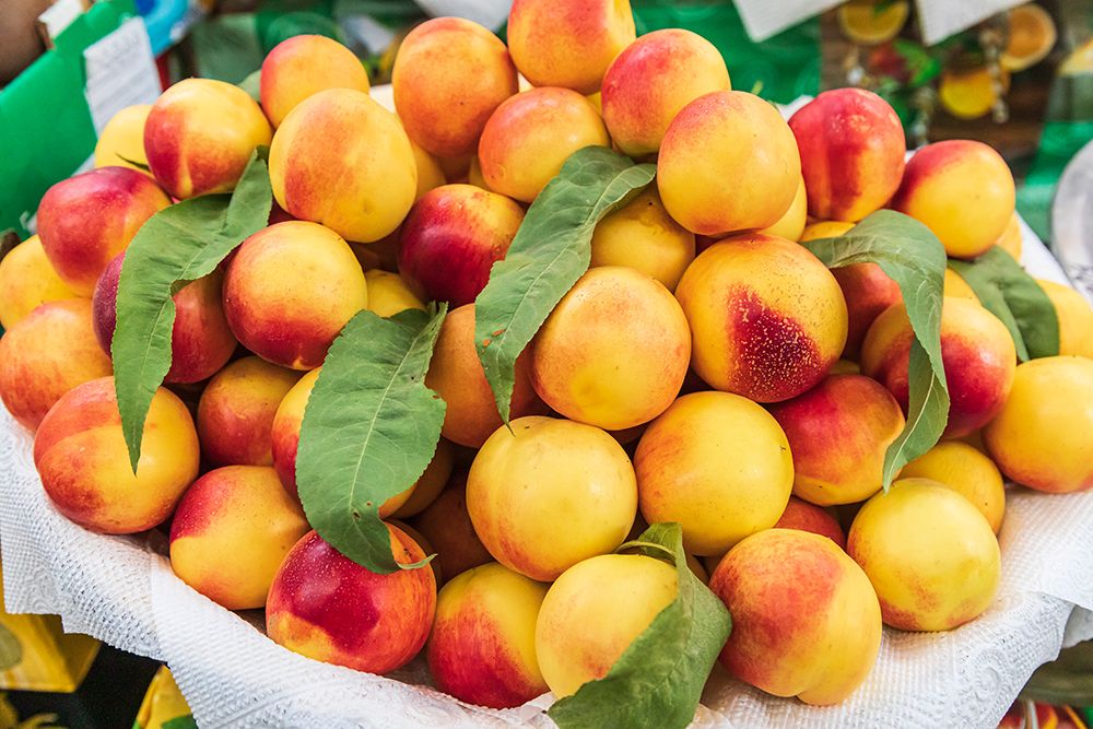 Khujand-Sughd Province-Tajikistan Fresh nectarines for sale at the Panjshanbe Bazaar in Khujand art print by Emily Wilson for $57.95 CAD