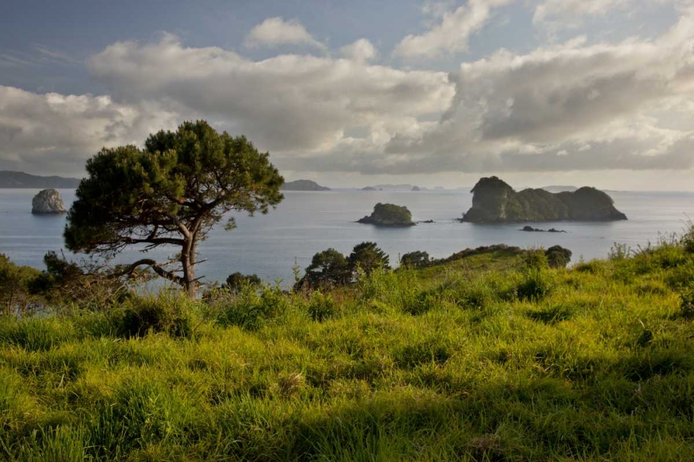 New Zealand, North Is Stingray Bay at sunrise art print by Don Grall for $57.95 CAD
